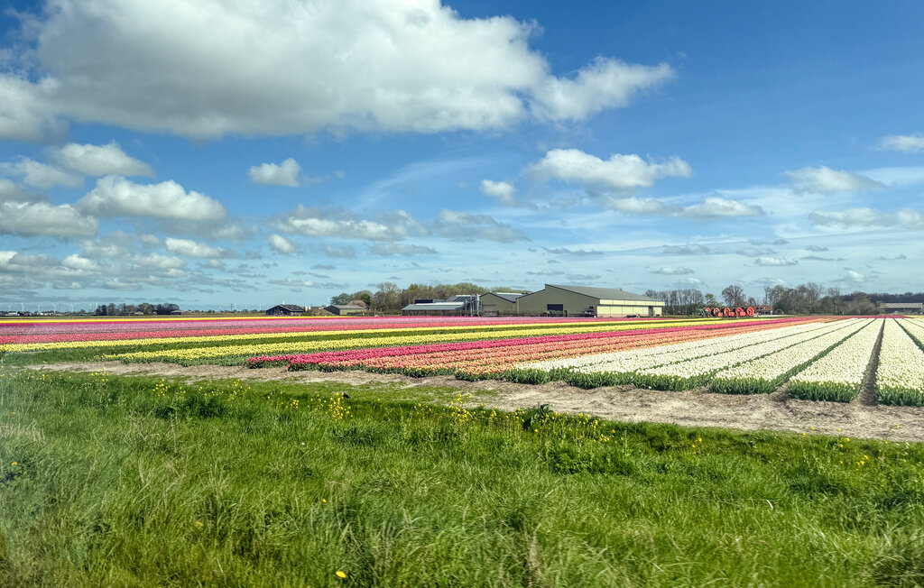 Ferienhaus - Westerland , Niederlande - HNH366 27