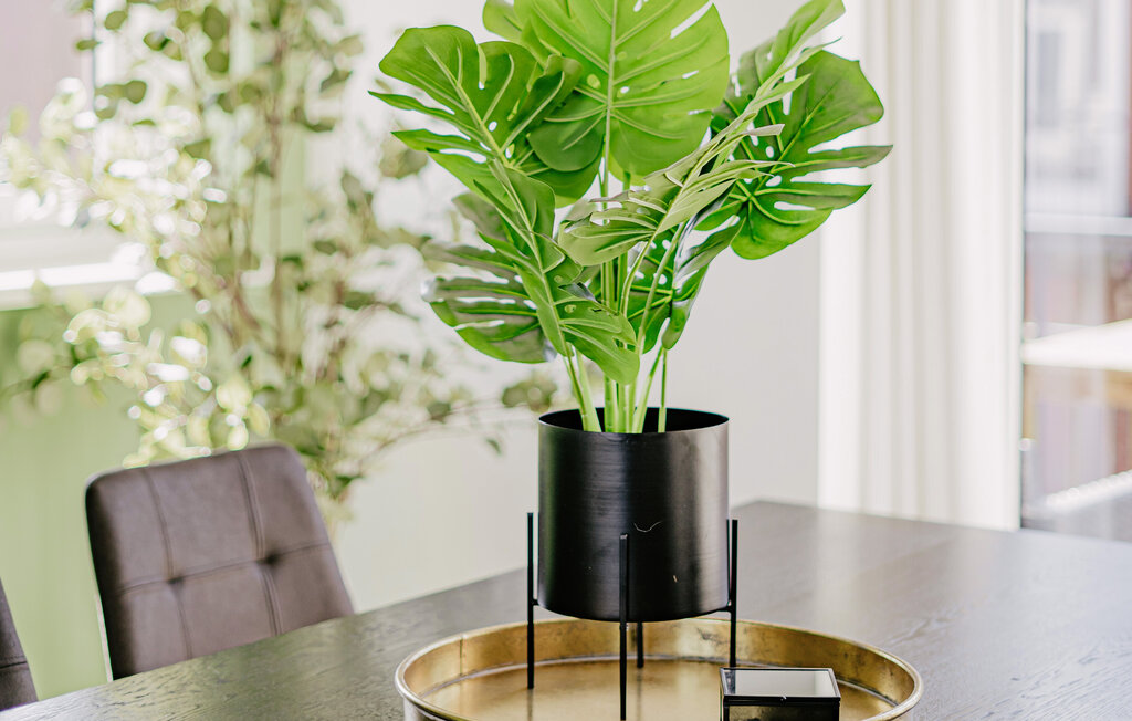 Ferienhaus - Uitgeest , Niederlande - HNH238 4