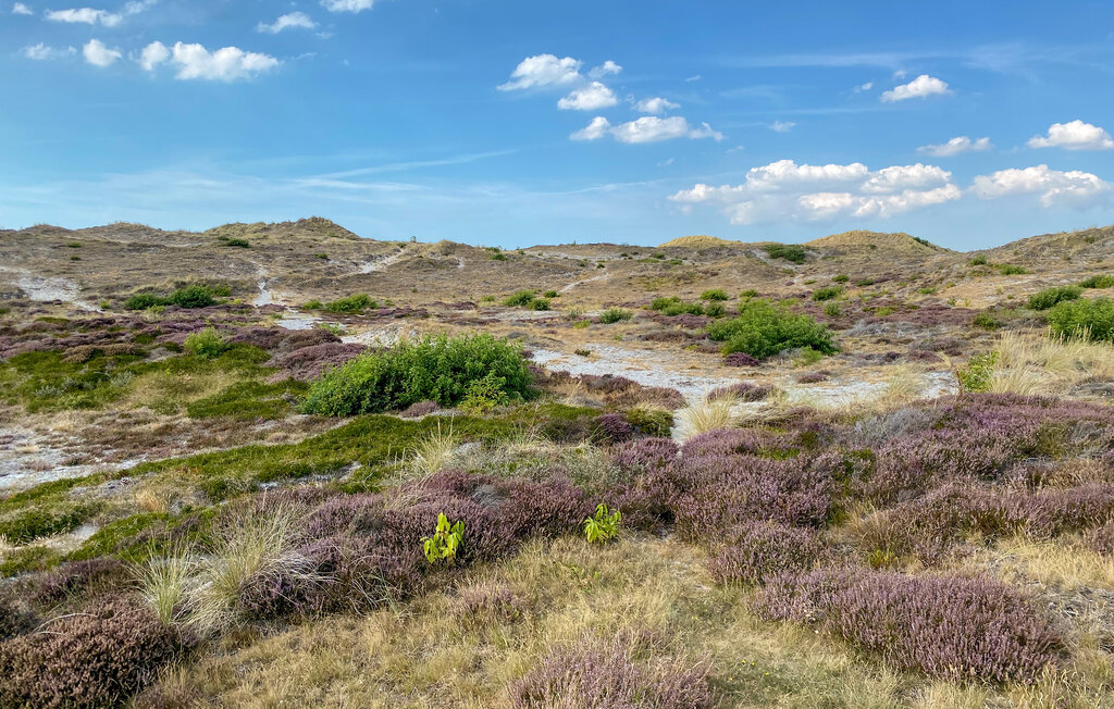 Feriehuse - Bergen aan Zee , Holland - HNH558 18