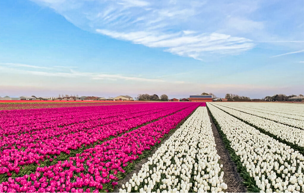Ferienhaus - Dirkshorn , Niederlande - HNH356 22