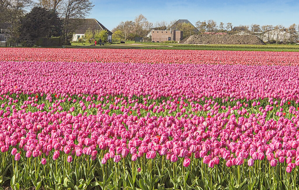 Feriehuse - Groote Keeten , Holland - HNH322 15