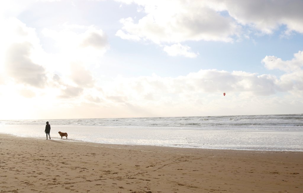 Maison de vacances Westerland (HNH070)