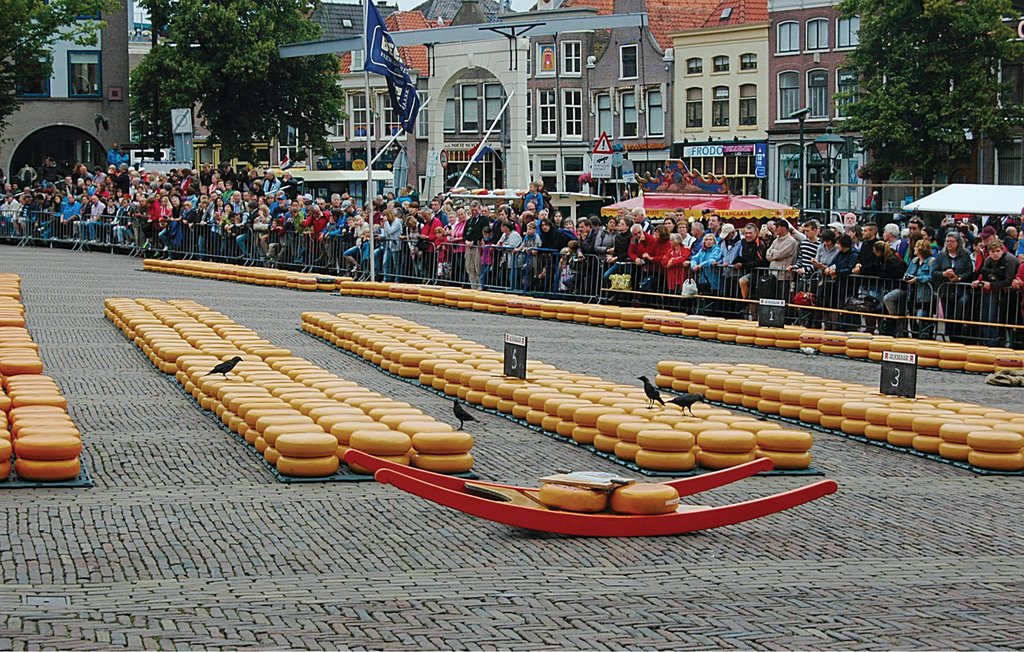 Bild 20 Bild 20