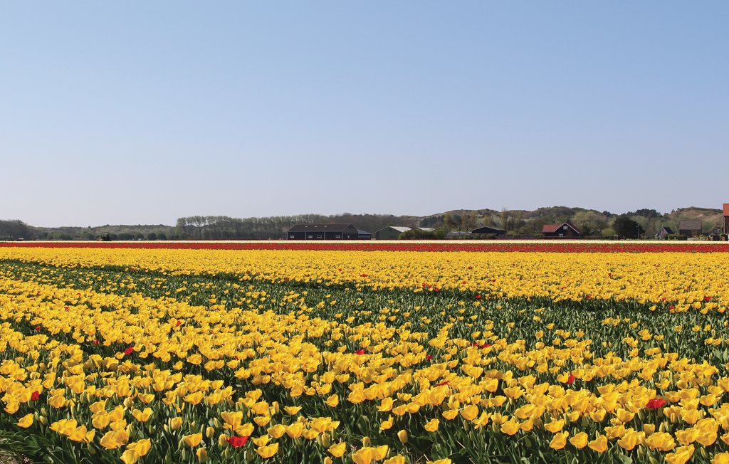 Maison de vacances Egmond aan Zee (HNH152)