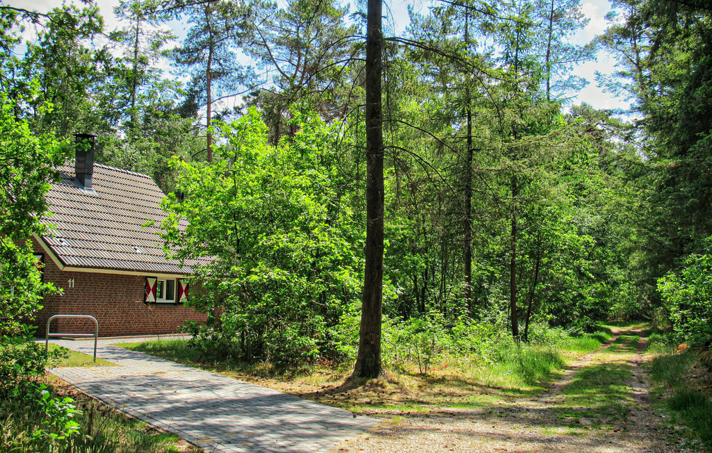 Feriehus - Ommen , Nederland - HOV411 6