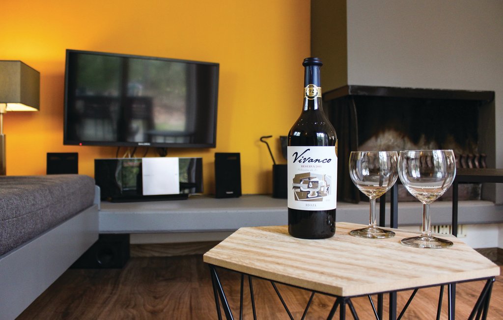 Feriehuse - Ommen , Holland - HOV406 7