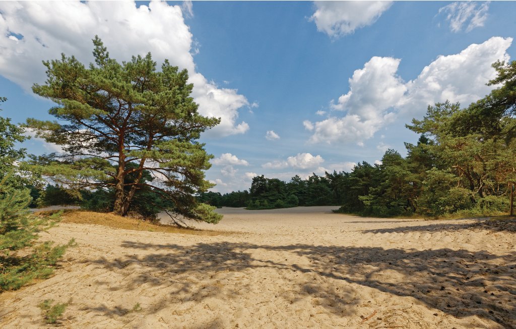 Feriehus - Ommen , Nederland - HOV411 30