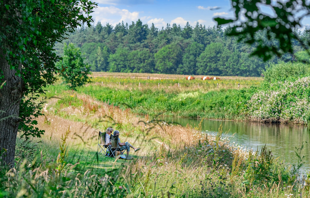 Feriehuse - Ommen , Holland - HOV409 37