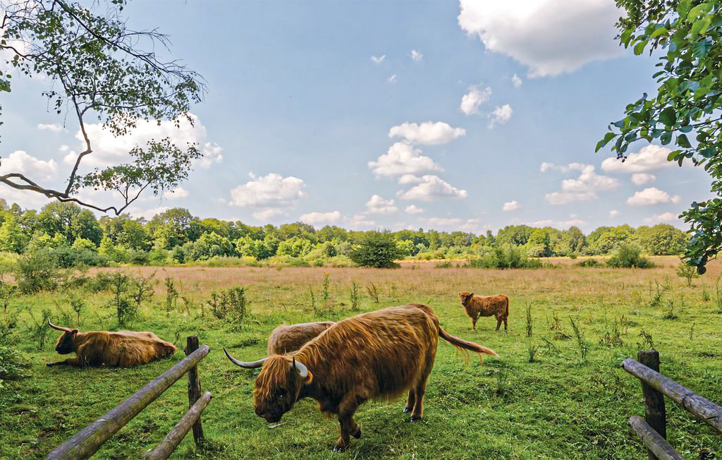 Ferienhaus - Marienberg , Niederlande - HOV198 19
