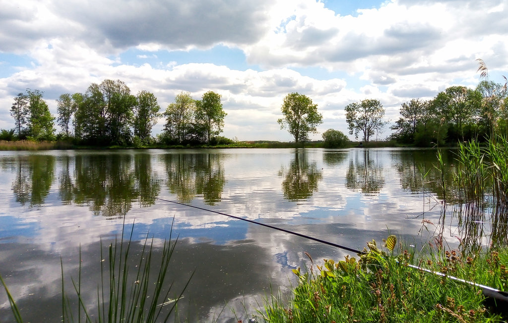 Feriehus - Kamperveen , Nederland - HOV070 28