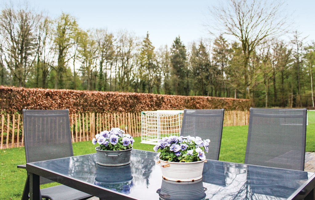 Feriehus - Ommen , Nederland - HOV412 26