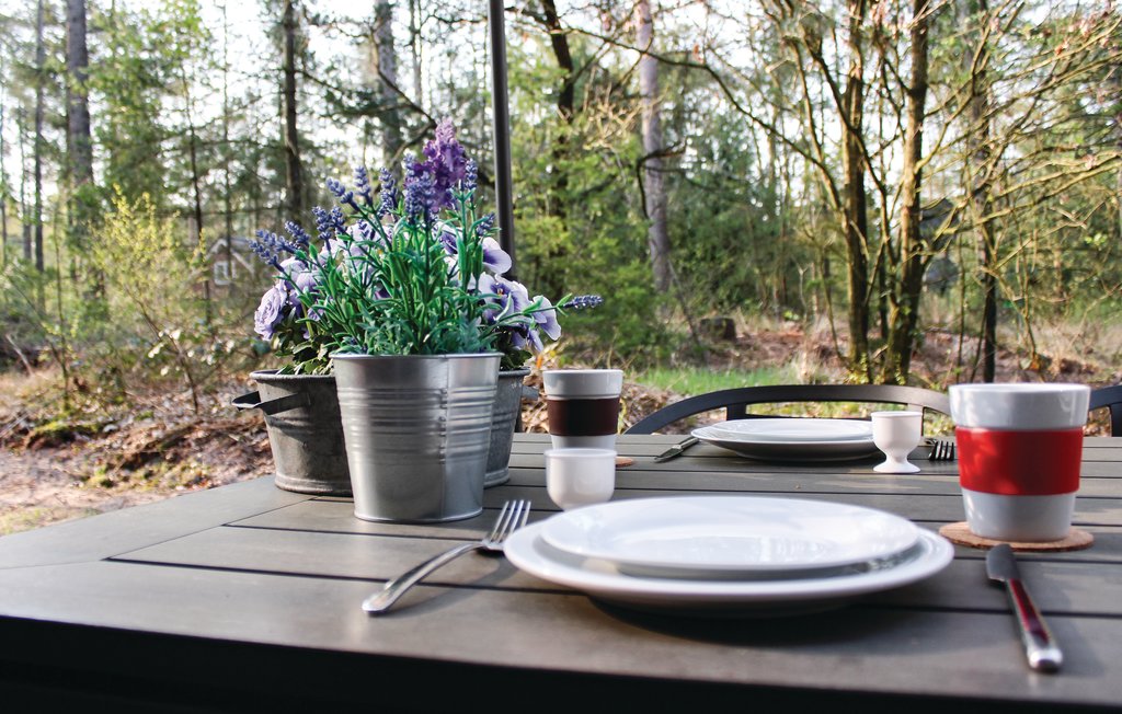 Feriehuse - Ommen , Holland - HOV406 20