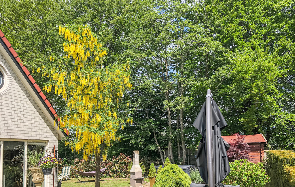 Feriehus - Delden , Nederland - HOV019 10