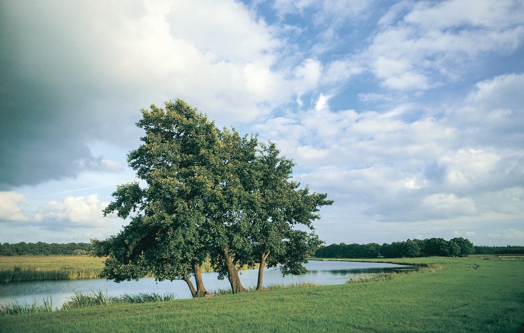 Feriehuse - Beerze , Holland - HOV040 13