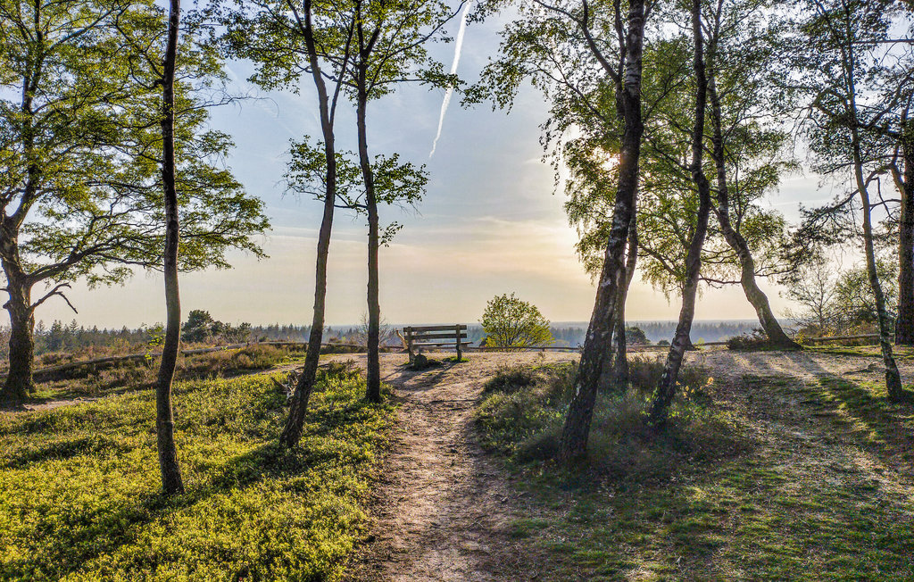 Feriehuse - Den Ham , Holland - HOV098 29