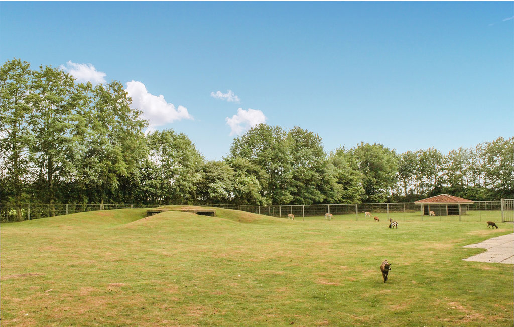 Feriehuse - Gramsbergen , Holland - HOV099 14