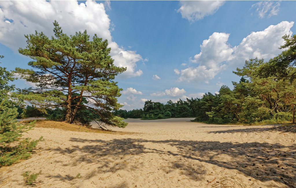 Ferienhaus - Marienberg , Niederlande - HOV219 22