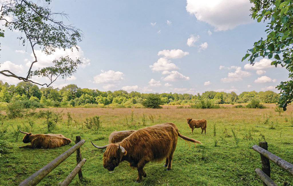 Ferienhaus - Marienberg , Niederlande - HOV219 23