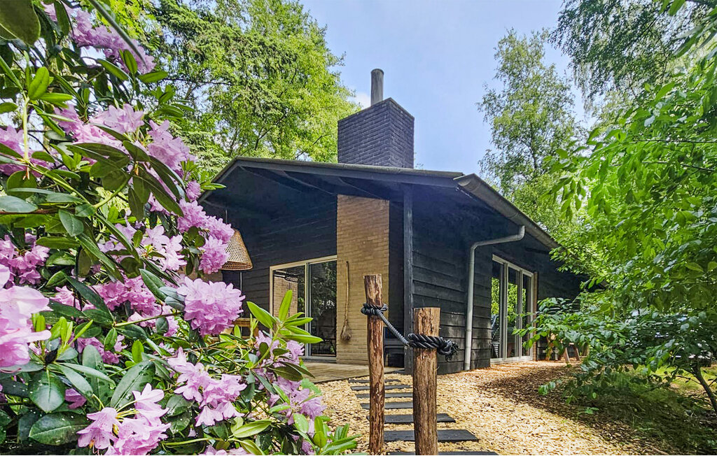 Ferienhaus - Rheezerveen , Niederlande - HOV366 1