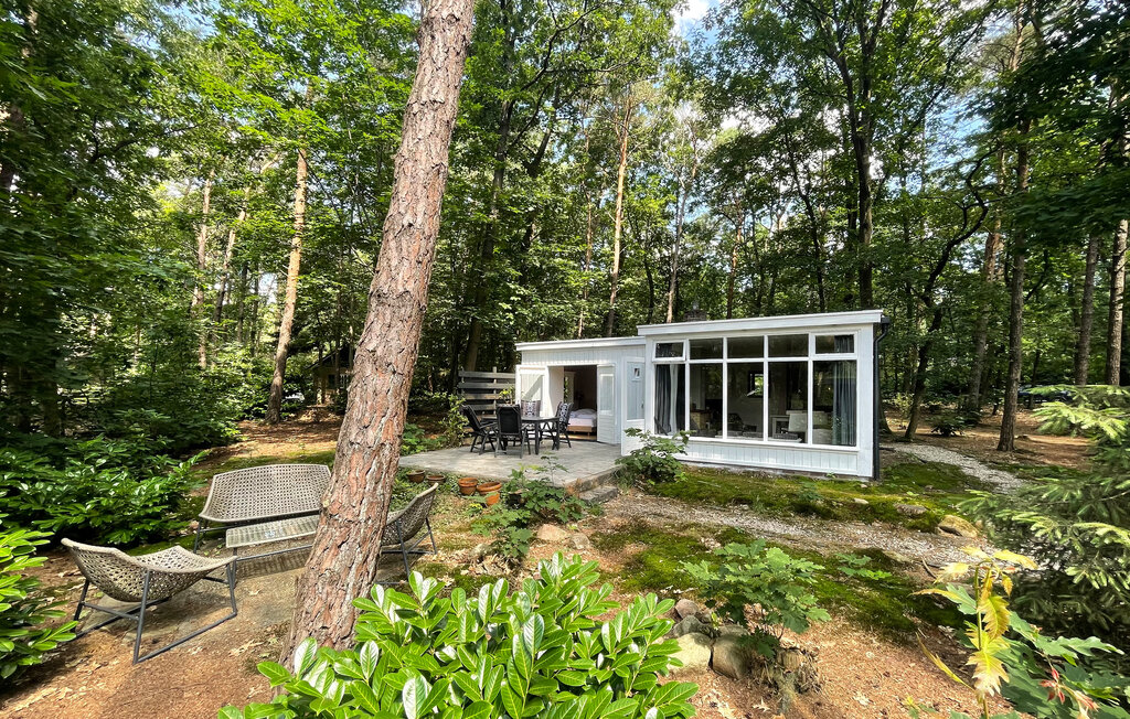 Domy wakacyjne - Holten , Holandia - HOV177 9