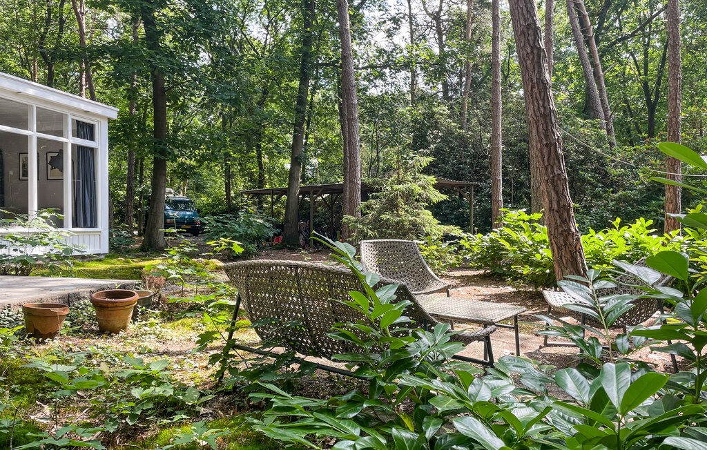 Domy wakacyjne - Holten , Holandia - HOV177 12