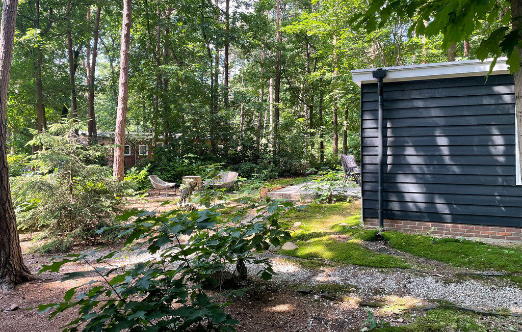 Domy wakacyjne - Holten , Holandia - HOV177 13