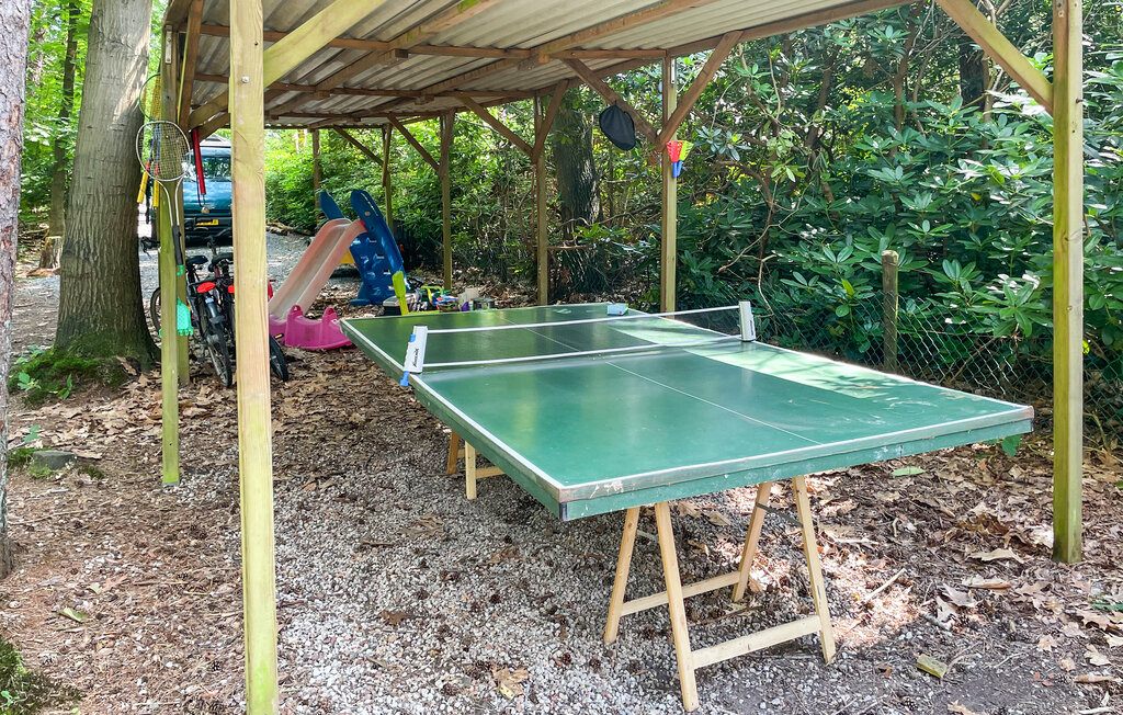 Domy wakacyjne - Holten , Holandia - HOV177 14