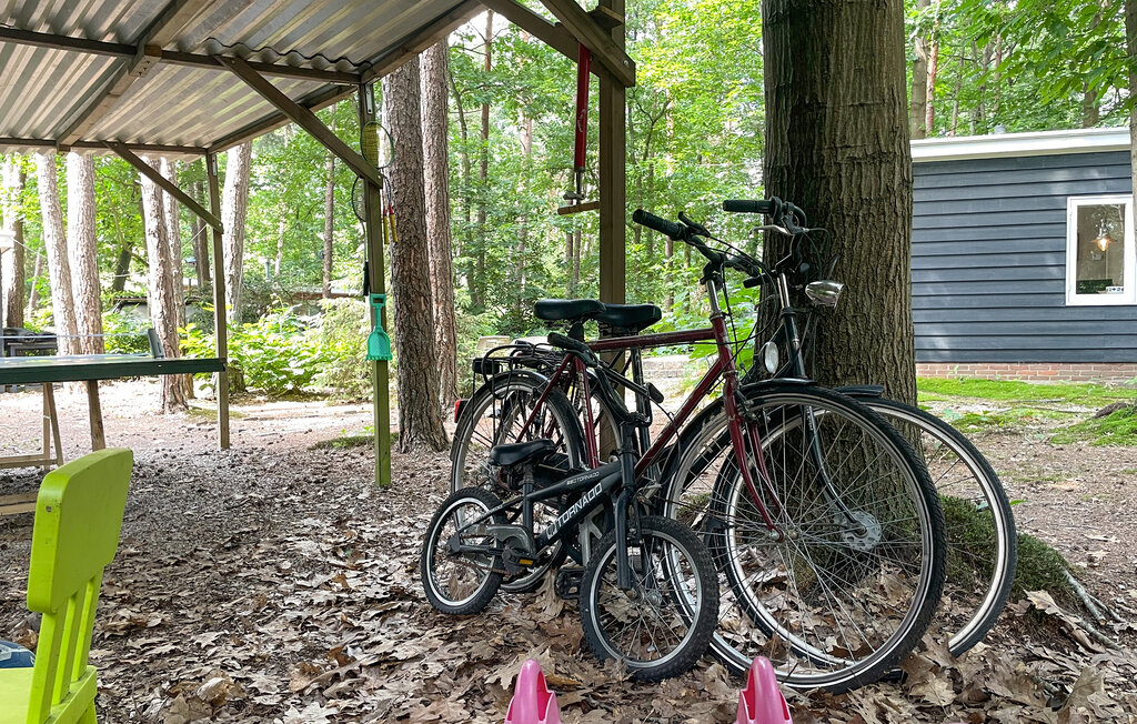 Domy wakacyjne - Holten , Holandia - HOV177 17