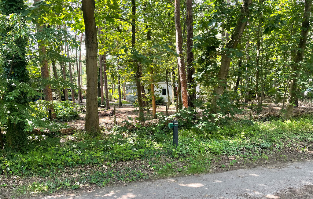 Domy wakacyjne - Holten , Holandia - HOV177 18