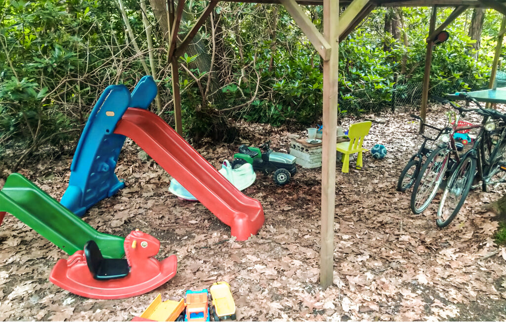 Domy wakacyjne - Holten , Holandia - HOV177 15