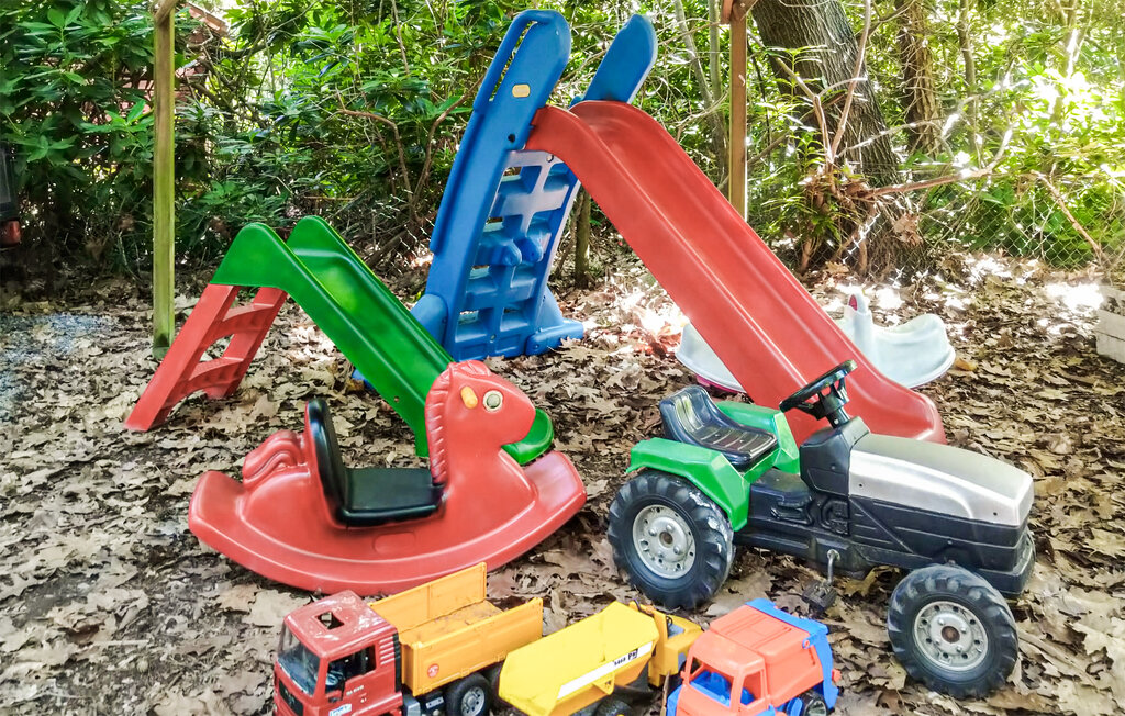 Domy wakacyjne - Holten , Holandia - HOV177 16