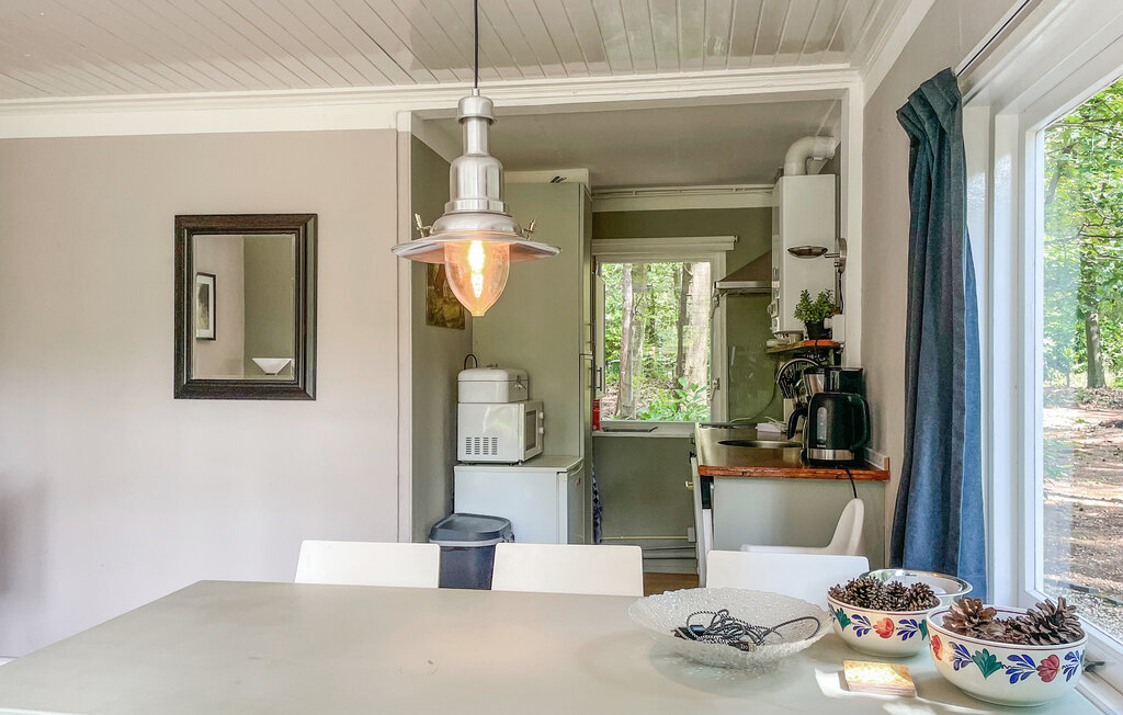 Domy wakacyjne - Holten , Holandia - HOV177 6