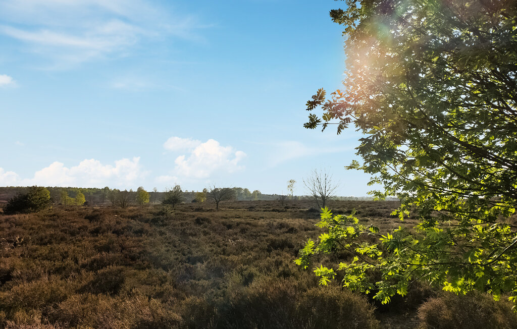 Location de vacances - Hellendoorn , Pays-Bas - HOV667 24