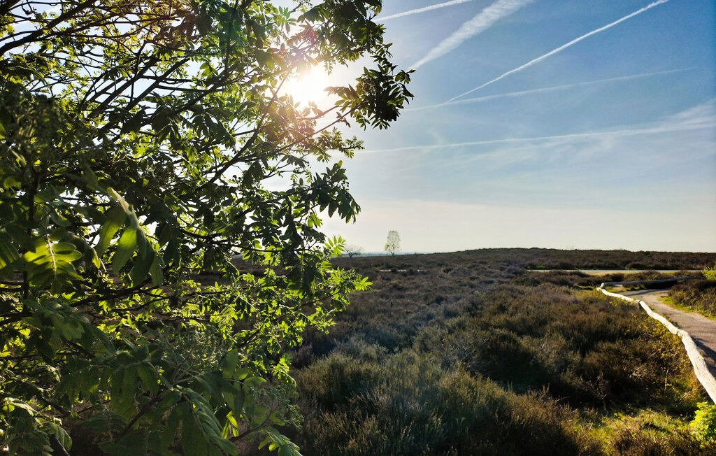 Location de vacances - Hellendoorn , Pays-Bas - HOV667 25