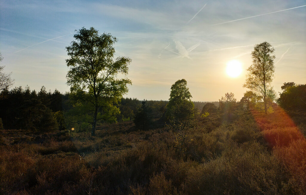 Location de vacances - Hellendoorn , Pays-Bas - HOV667 26