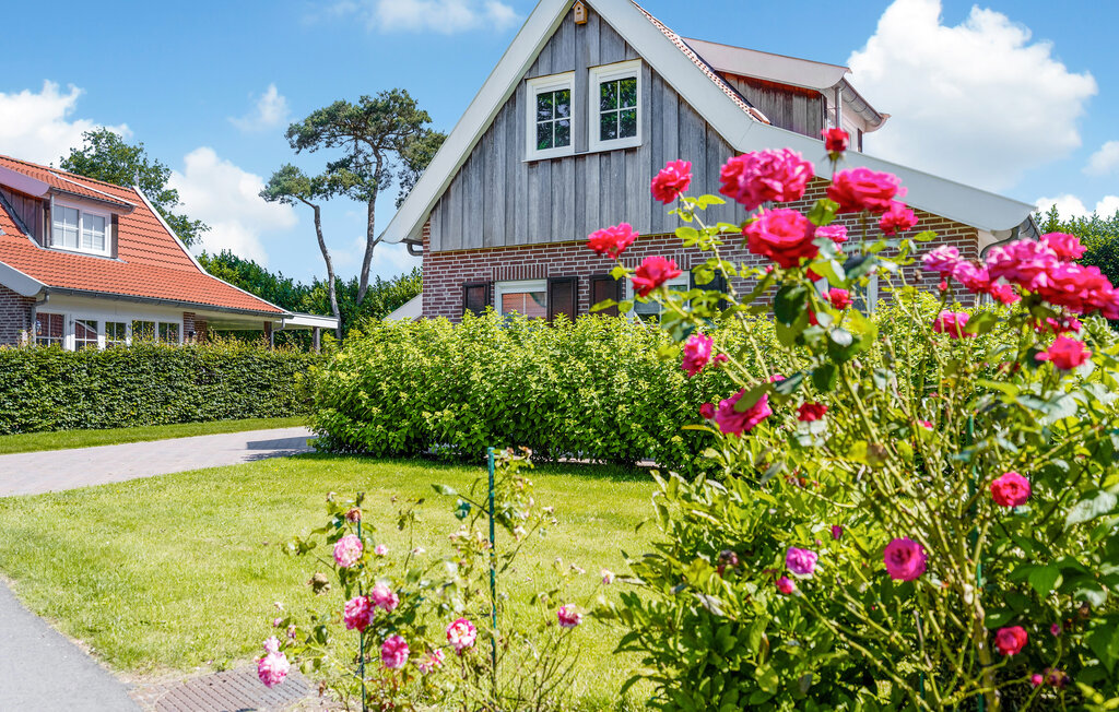 Domy wakacyjne - Hoge Hexel , Holandia - HOV218 11