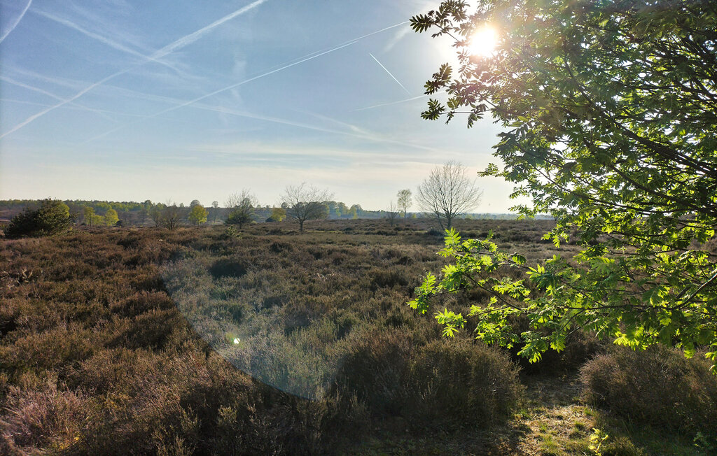 Domy wakacyjne - Hellendoorn , Holandia - HOV746 22