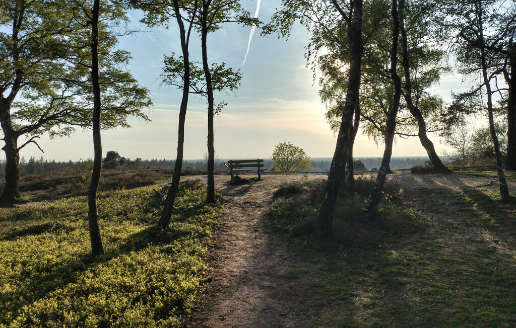 Domy wakacyjne - Hellendoorn , Holandia - HOV746 24