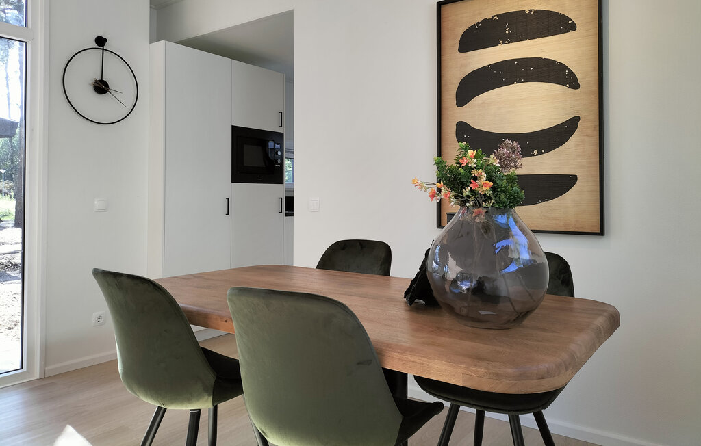 Domy wakacyjne - Hellendoorn , Holandia - HOV746 6