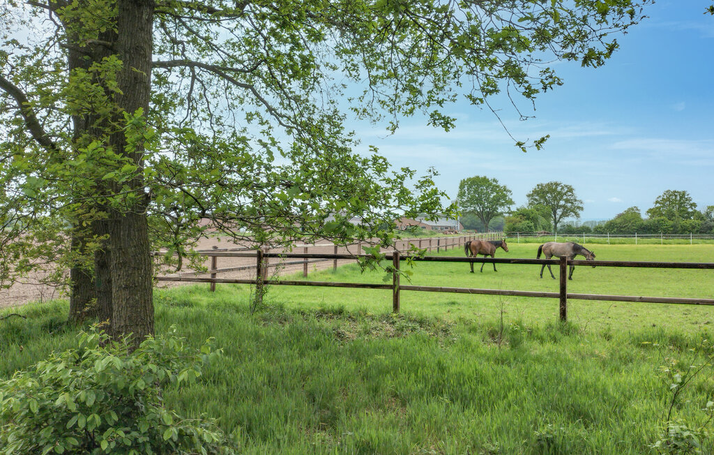 Semesterhus - Hellendoorn , Nederländerna - HOV757 15