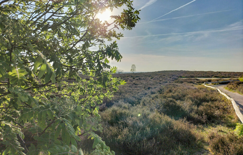 Domy wakacyjne - Hellendoorn , Holandia - HOV666 22