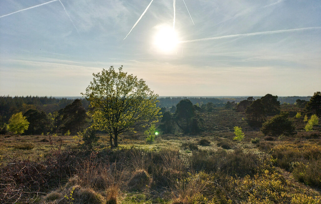 Domy wakacyjne - Hellendoorn , Holandia - HOV666 23