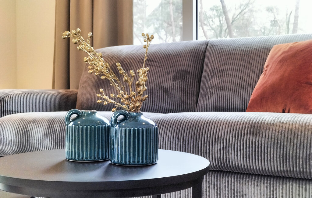 Domy wakacyjne - Hellendoorn , Holandia - HOV666 10