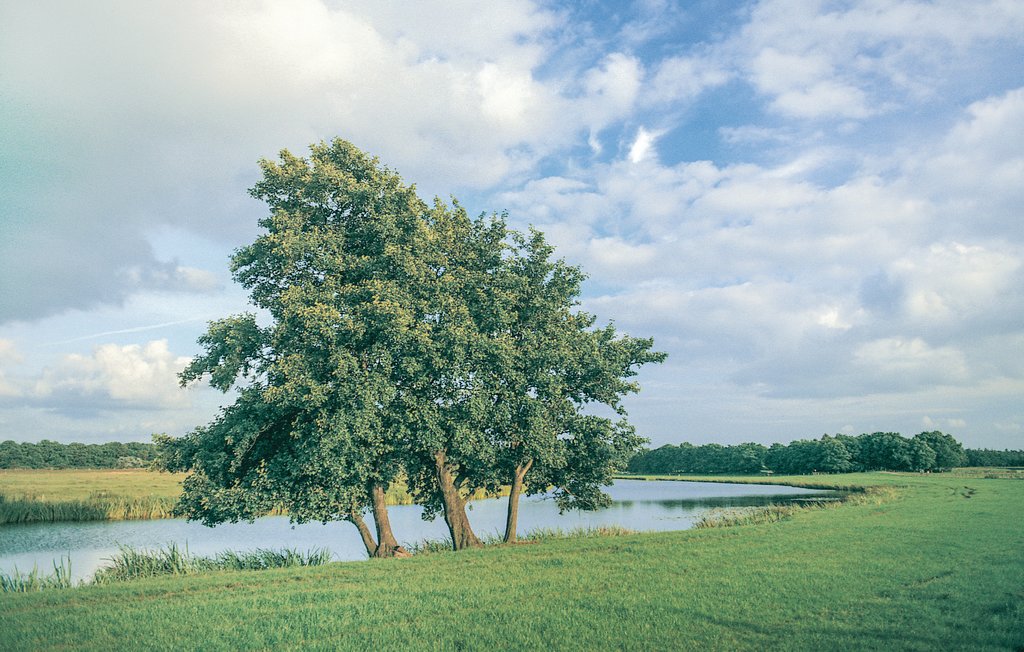 Vakantiehuis Den Ham (HOV037)