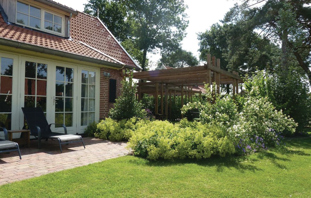 Bild 5 Bild 5