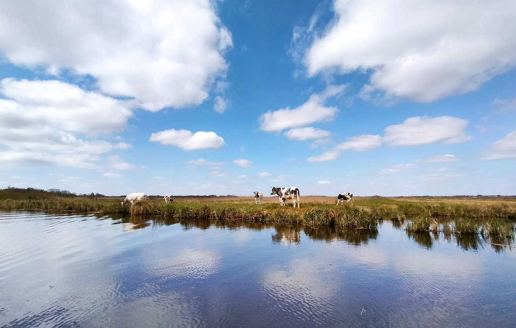 Holiday home Giethoorn (HOV502)