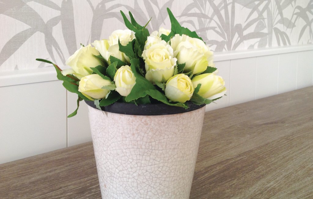 Semesterhus - Breskens , Nederländerna - HZE054 12