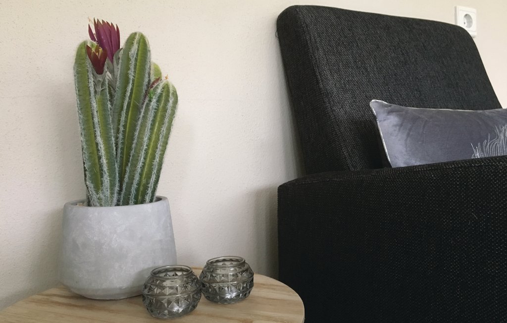 Feriehuse - Wolphaartsdijk , Holland - HZE154 9