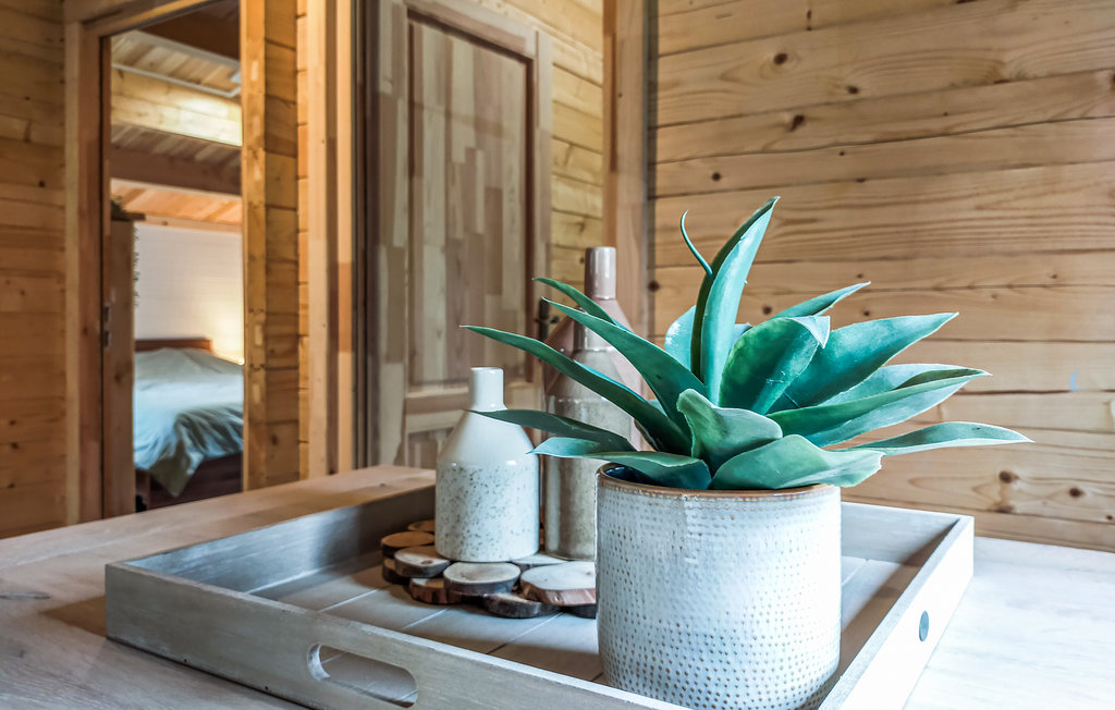 Location de vacances - Heinkenszand , Pays-Bas - HZE235 14