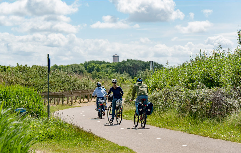 Ferienhaus - Dishoek , Niederlande - HZE252 23